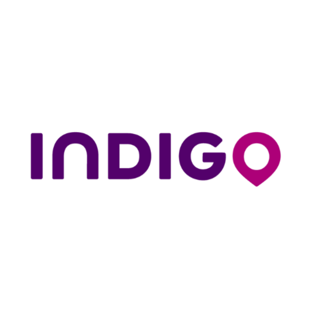 LOGO INDIGO